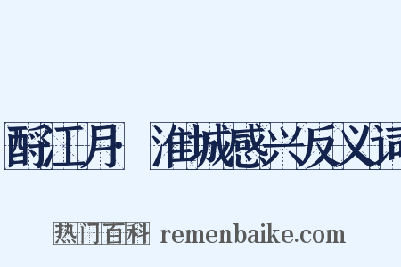 酹江月·淮城感兴反义词是什么意思的图片